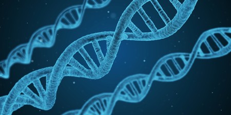 Los genes podrían ser más importantes para tu salud que tu estilo de vida, según nuevo estudio