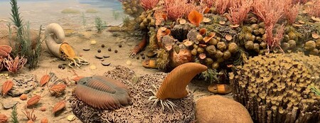 Los trilobites respiraban por las patas, con estructuras como branquias colgando de sus muslos