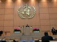 Por qué se aconseja lactancia materna exclusiva hasta los seis meses (I)