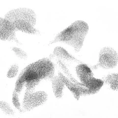 Foto 6 de 11 de la galería categoria-aves en Xataka Foto