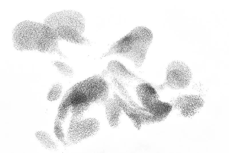 Foto de Categoría Aves (6/11)