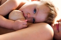 "La edad natural del destete va de los 2 años y medio a los 7 años". Entrevista a la antropóloga Kathy Dettwyler