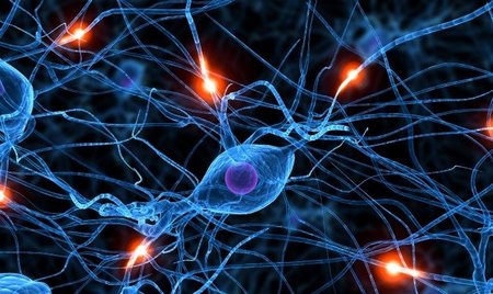 ¿Aceptarías hacer más inteligentes a tus hijos por manipulación genética?