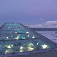 El Arca de Noé de especies vegetales en Svalbard, Noruega 