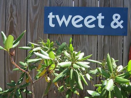 37.000 tweets acompañados del tag #Manifiesto