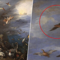 "Ya era conocido en el XVII": cómo un pintor barroco se adelantó 400 años a los científicos modernos que estudian a los murciélagos 