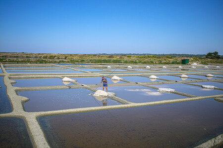 Salinas Guerande