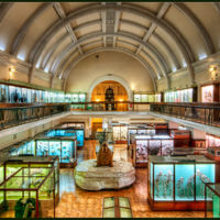 Museo Horniman de Londres, un museo tradicional ideal para visitar con niños