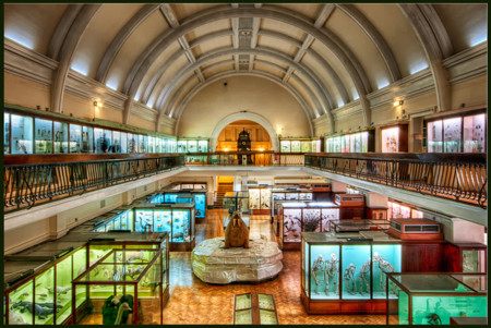 Museo Horniman de Londres, un museo tradicional ideal para visitar con niños