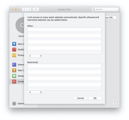 ここで、アダルト フィルターの上で許可または制限する Web サイトを入力します。