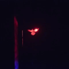 Foto 2 de 4 de la galería ejemplos-a-25600-iso en Xataka Foto