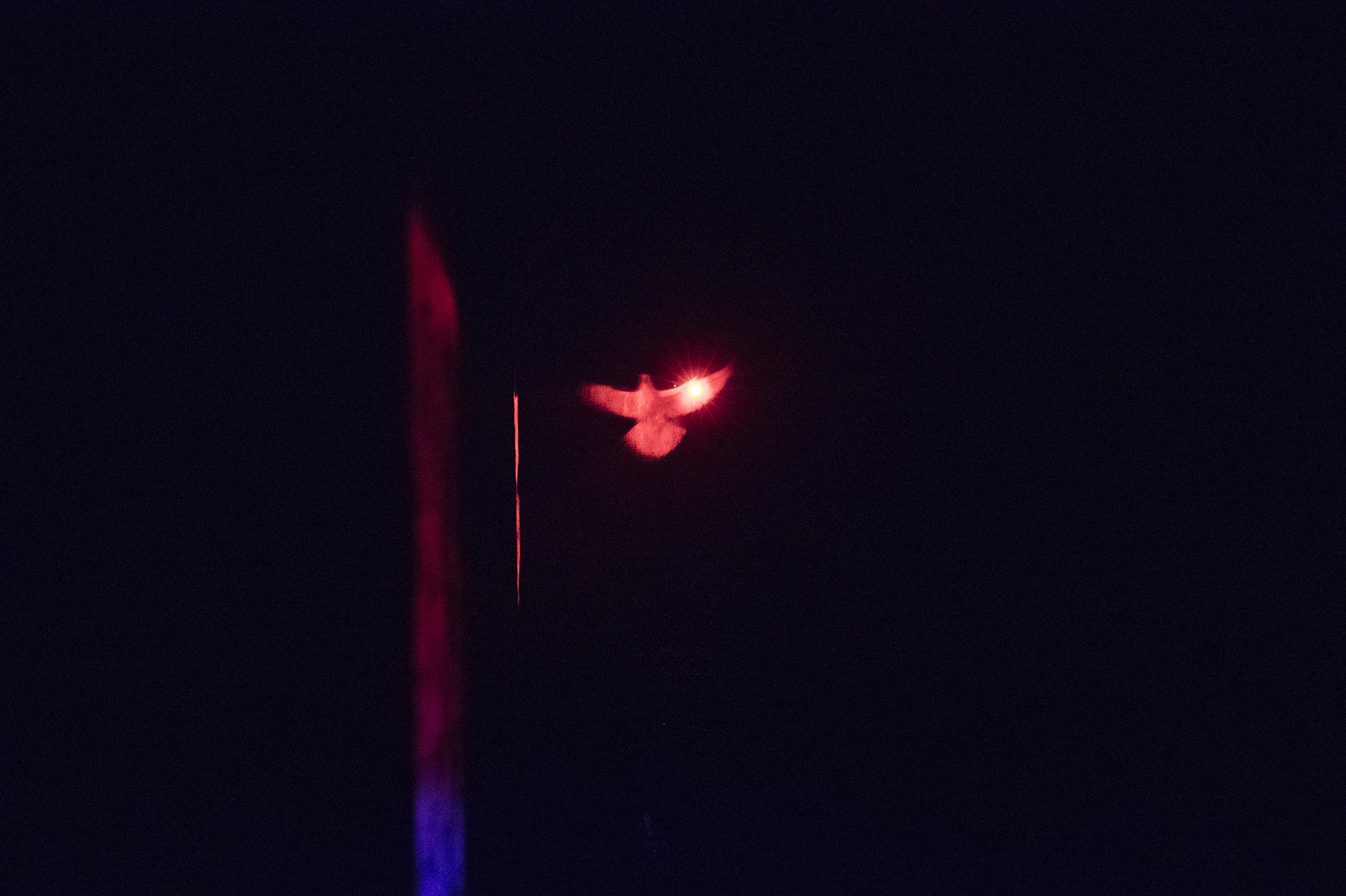 Ejemplos a 25600 ISO