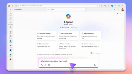 MS 365の副操縦士
