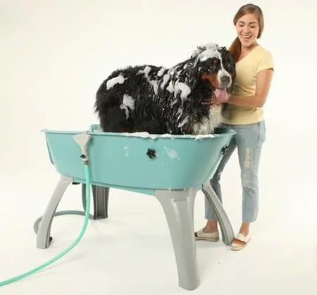 La bañera perfecta para tu mascota