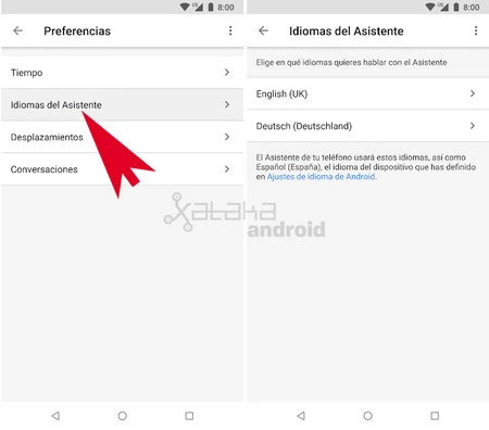 アシスタント言語