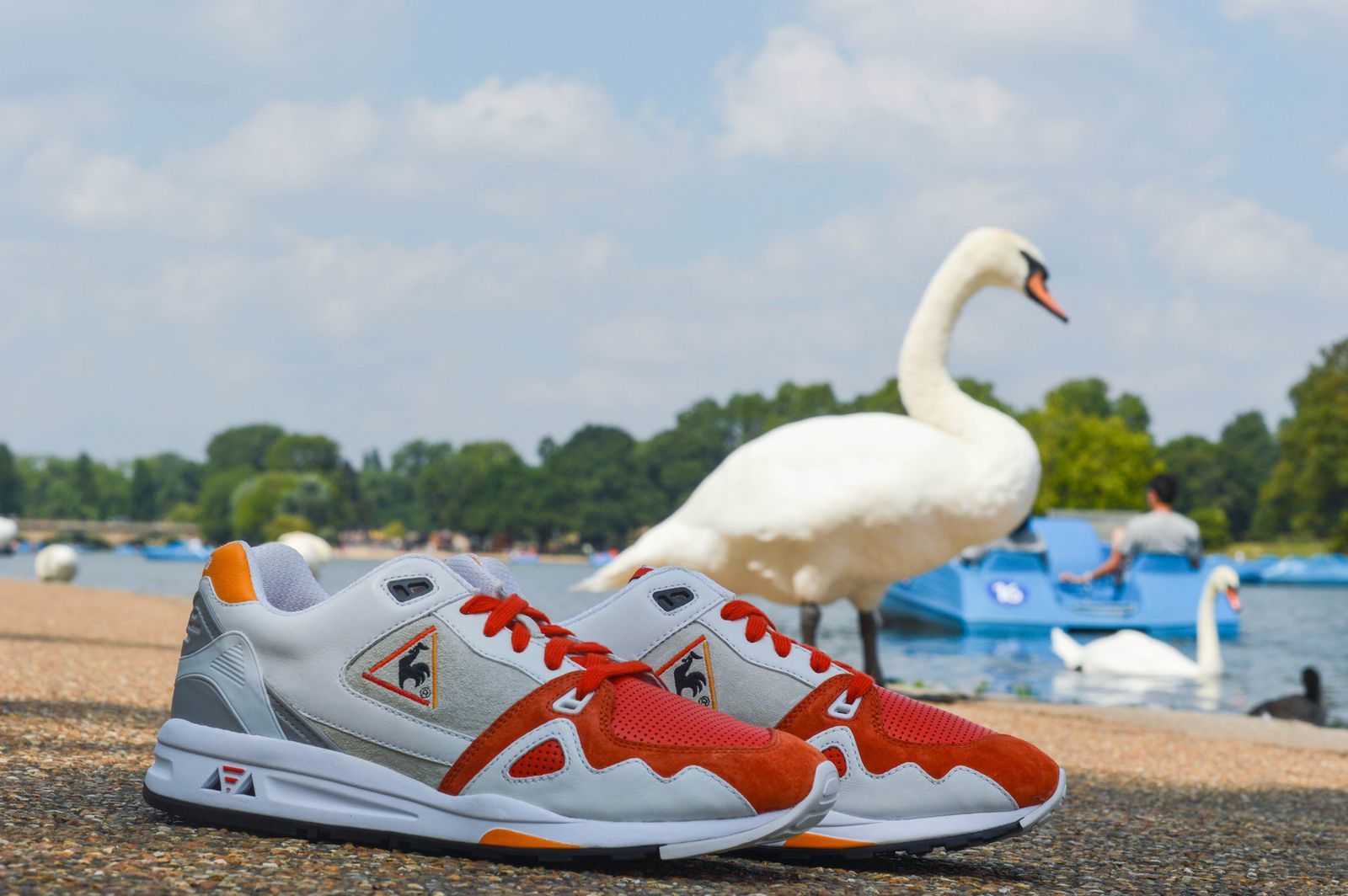 Foto de LCS R1000 Black swan y White swan (18/18)