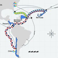 Google prepara tres impresionantes cables submarinos para conectar Latinoamérica: así son Alisios, Canoa y OlaLuz
