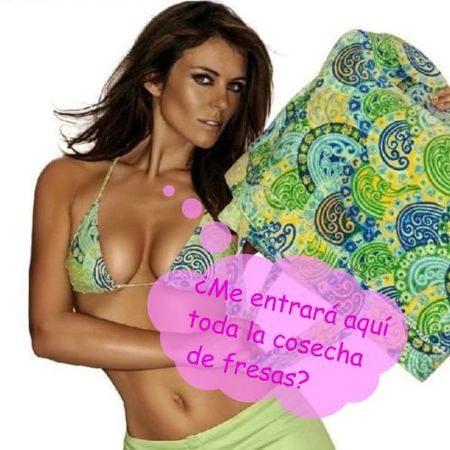 Liz Hurley, granjera último modelo