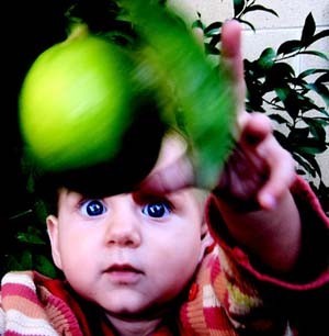 La foto de tu bebé: ¡ese limón es para mí!