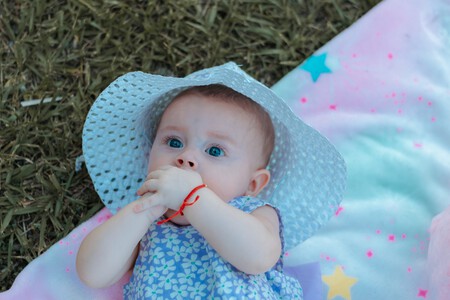 Pexels Catalina Carvajal Herrera 8773802