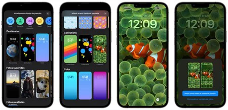 カクレクマノミ iOS 16