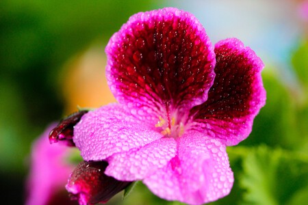 Pexels Sephina Cornwall 759251776 32050814