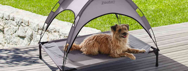Lidl tiene una cama para perros ideal para protegerlos del calor por 25 euros