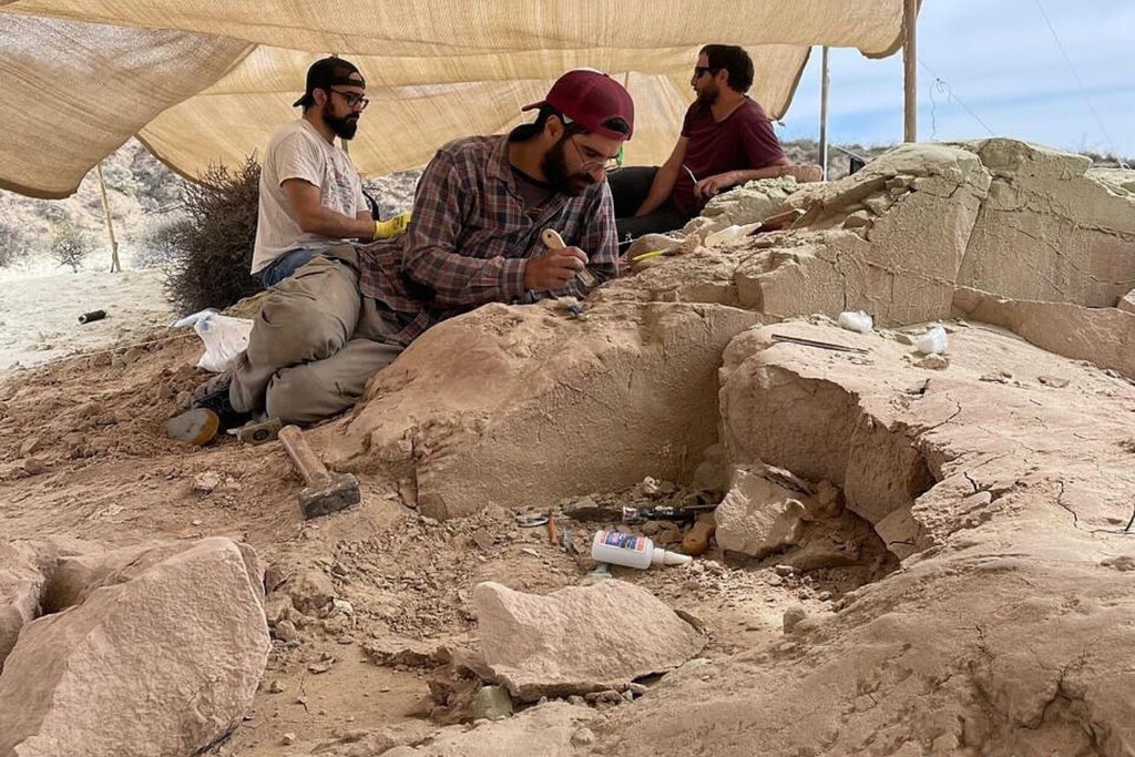 Hay nuevo streaming del CONICET en octubre: fecha y horario para ver a paleontólogos excavar fósiles de dinosaurios en La Patagonia 