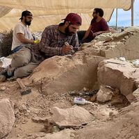 Hay nuevo streaming del CONICET en octubre: fecha y horario para ver a paleontólogos excavar fósiles de dinosaurios en La Patagonia 