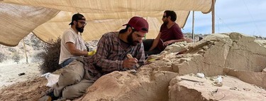 Hay nuevo streaming del CONICET en octubre: fecha y horario para ver a paleontólogos excavar fósiles de dinosaurios en La Patagonia 