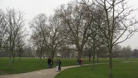 Saborea Londres en el Regent’s Park y ¡a buen precio!