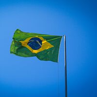 Fóssil de réptil encontrado no Brasil pode ajudar a desvendar as origens comuns de dinossauros e crocodilos 
