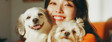 En plena crisis de natalidad, un insólito problema está creciendo en Corea del Sur: los niños han dejado paso a los perros por culpa de internet