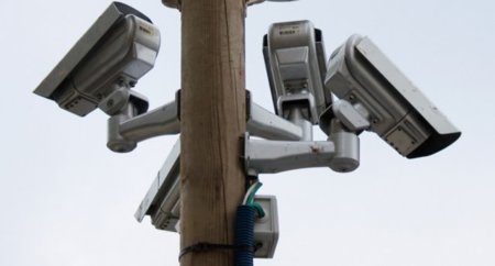 Espían nuestros archivos torrents mediante falsos usuarios