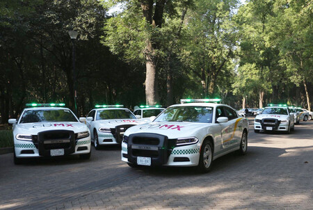 Patrulla Ambiental Cdmx 10
