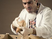 Despreciar una profesión es propio de ignorantes 