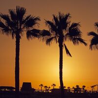 Así se calcula y presenta el IGIC, el impuesto al consumo de las Islas Canarias