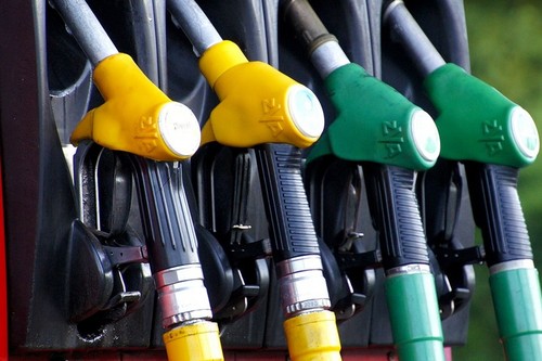 El biocombustible con aceite de palma, bajo lupa: ¿es tan bueno o tan malo como nos cuentan?