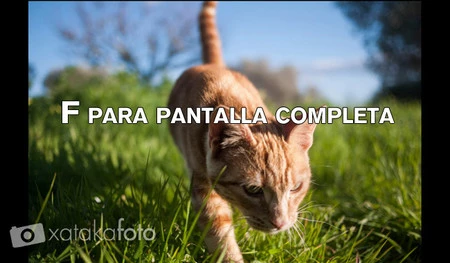 pantalla completa en lightroom