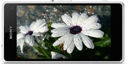 Sony 1 V Cover Altroparlante Originale Sony Per Xperia Z1 Compact - Foto 5