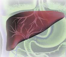 Nuevo test para detectar el cáncer de hígado a través de un análisis sanguíneo