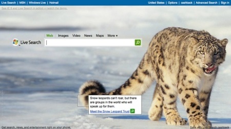 La imagen de la Semana: "Snow Leopard" en la portada de Live Search, ¿Por qué?
