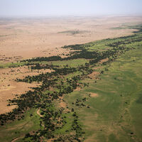 El Sahara está devorando pueblos enteros: África lleva casi 20 años combatiéndolo con una muralla verde de 8,000 kilómetros