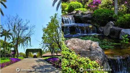 Jardines De Mexico