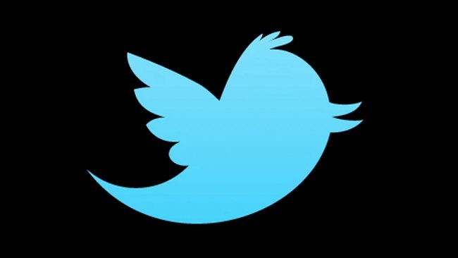 twitter logo pájaro