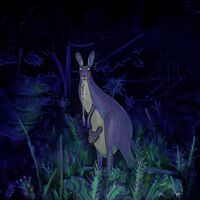 Animal Well, todas las canciones de la flauta y su efecto 
