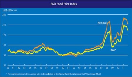 FAO Index price