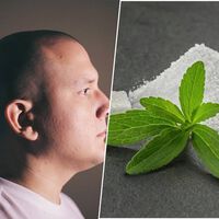 Un edulcorante natural, seguro y ya aprobado para el consumo: la nueva e inesperada solución contra la calvicie