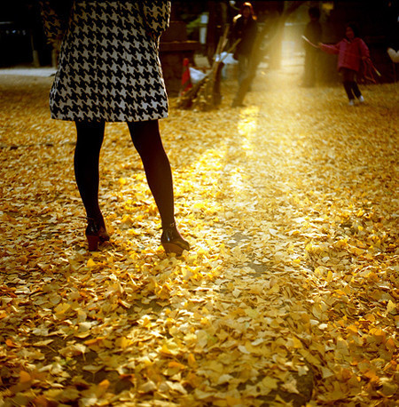Descubriendo fotógrafos: Tommy Oshima