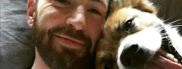 Los nombres de los perros de los famosos 